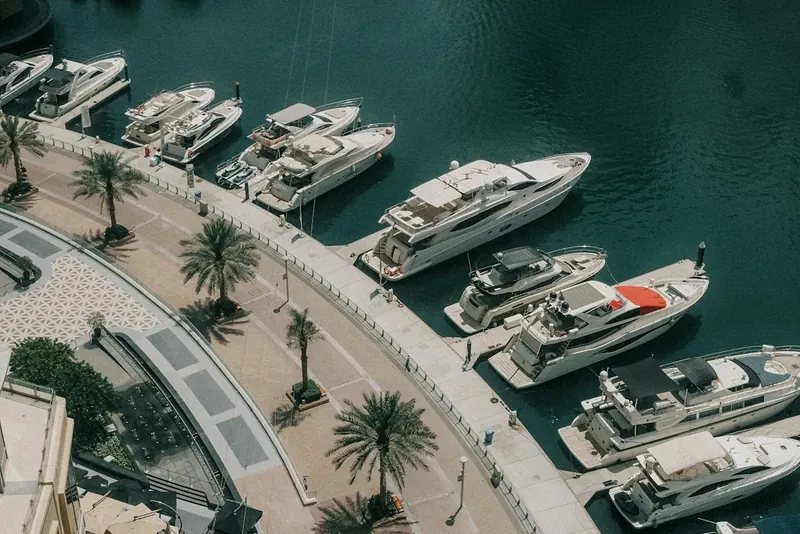 Marina with yachts and palm trees
